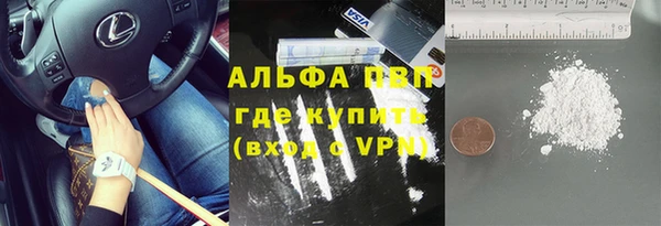 хмурый Корсаков