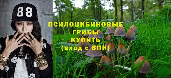 мдпв Костерёво
