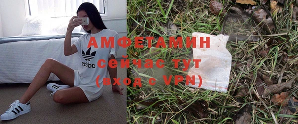 хмурый Корсаков
