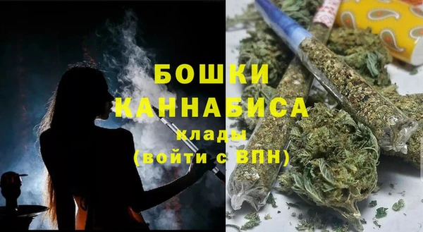 хмурый Корсаков