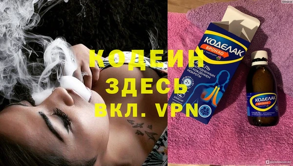 хмурый Корсаков
