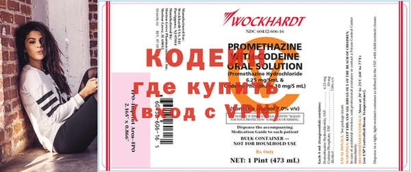 хмурый Корсаков
